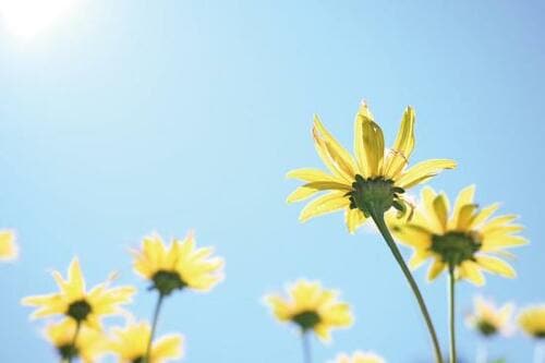 ニコン「Z fc」3