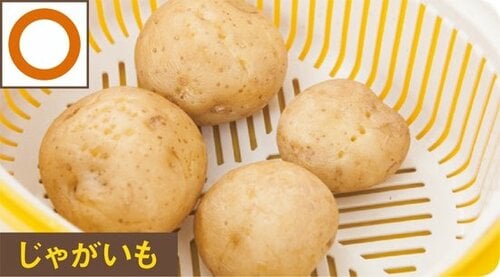 使い勝手と汎用性の高さでイモタニの蒸し器に軍配!