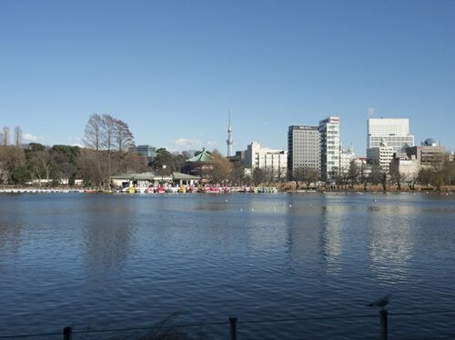 風景撮影で遠景の解像力をチェック!