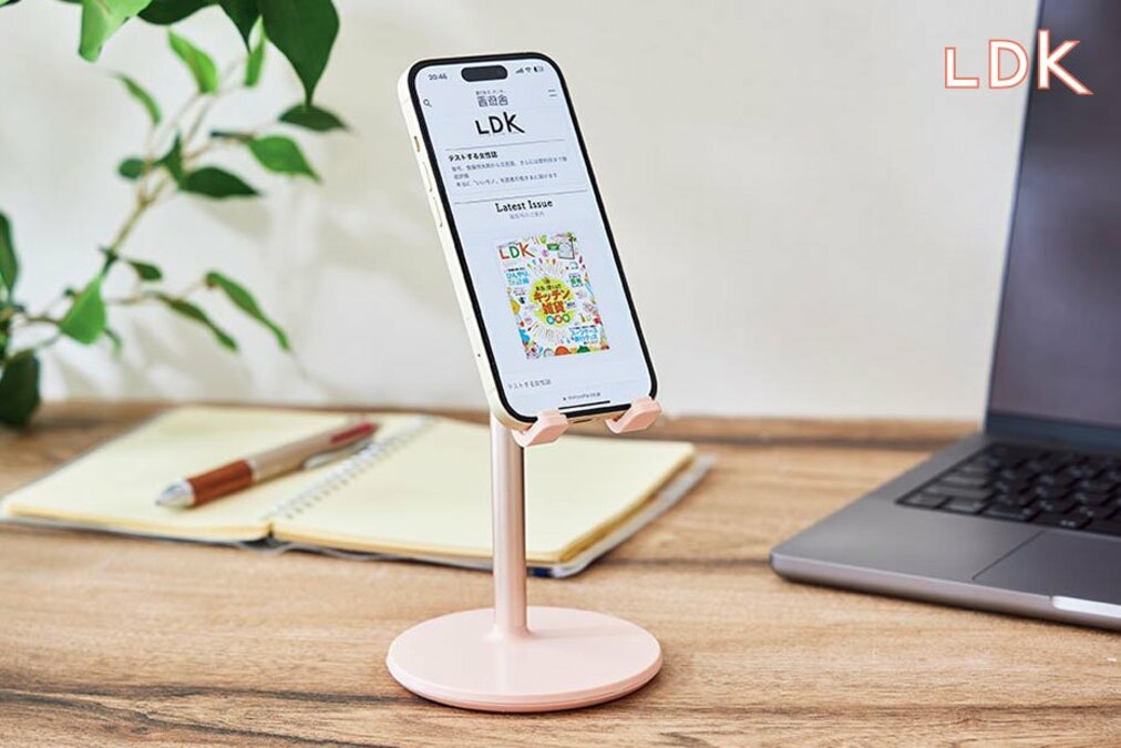 高見え】スリコの550円グッズでテレワークの気分もアガる！大活躍の