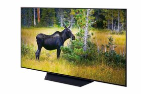 高画質な有機ELで約10万円！ おすすめ型落ちテレビはLGエレクトロニクス「OLED 55BXPJA」｜家電批評・オブ・ザ・イヤー2021のイメージ
