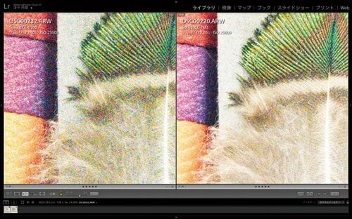 フルサイズは高感度画質が得意です イメージ