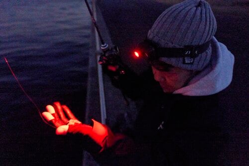 Q.レッドライトは必要？ フィッシングギアおすすめ イメージ