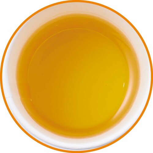5位: セブンプレミアム「一(はじめ)緑茶 一日一本」