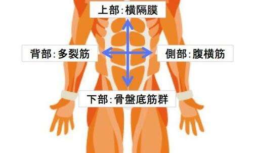 インナーマッスルに効く!バランスボールで期待できる効果とは?