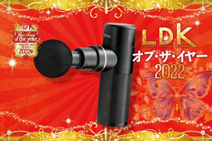 お手頃価格のマッサージガンならREDHiLL。パワフルにほぐして全身スッキリ【LDKベストバイ2022】