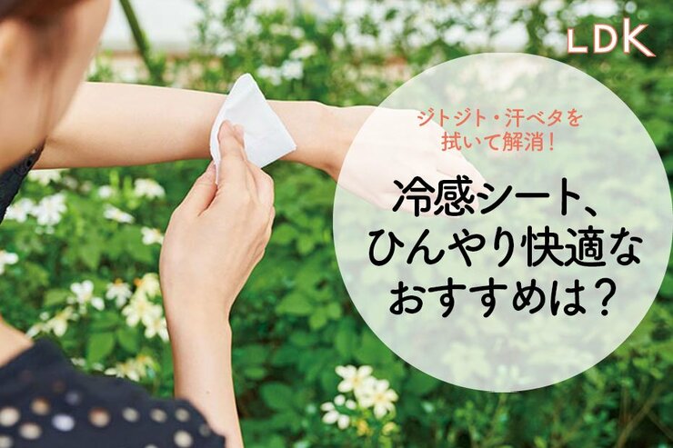 ドラストで買える冷感ボディシート、ひんやり快適なベストはどれ？ LDKが人気商品をテスト