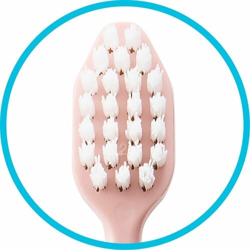 歯ブラシおすすめ サンスター オーラツー プレミアム ハブラシ なめらかフィット コンパクト ふつう イメージ3