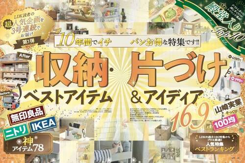 LDKが10年間検証してわかった“最強の収納アイテム”は? イメージ