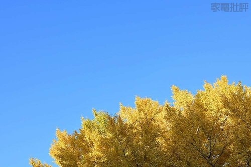 いい入門機の条件「フルオートでしっかり撮れる」を実現! ミラーレス一眼カメラおすすめ イメージ3
