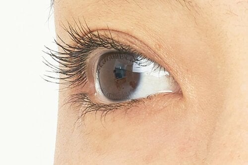  ウォンジョンヨ ヌードアイラッシュ/01 イメージ3