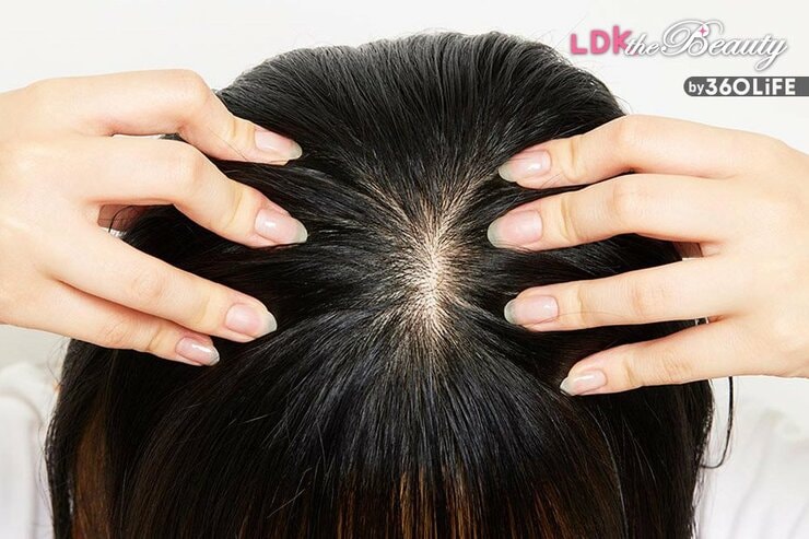 育毛剤は濡れた髪につける？乾かすべき？LDKが正解をおすすめ