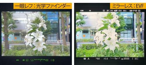 一眼カメラの魅力７