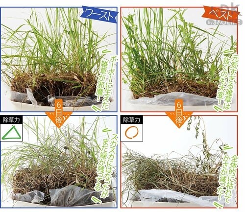 除草剤の比較方法は? 除草剤おすすめ イメージ