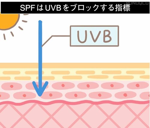 SPFはUVBをブロックする指標 メンズ日焼け止めスティックおすすめ イメージ