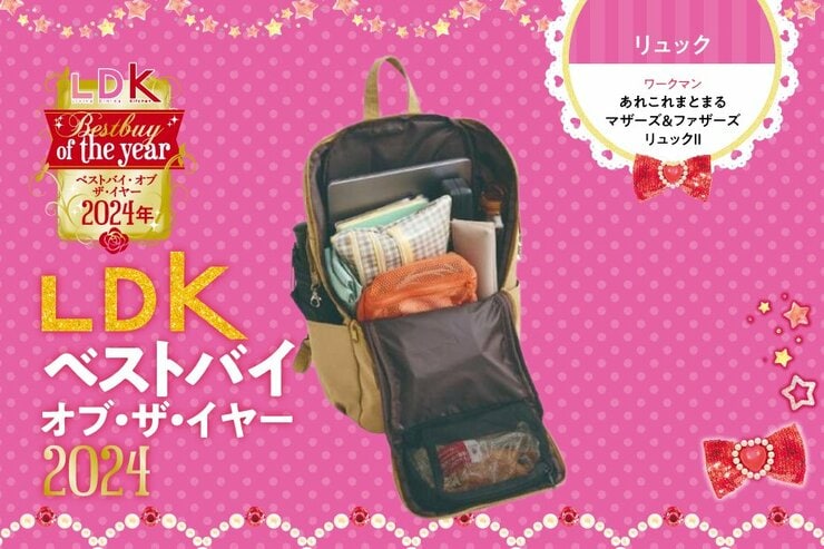 多機能がすぎる！ ワークマンのリュックがパパママじゃなくても超使える話【LDKベストバイ2024】