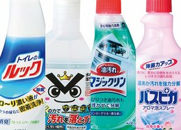 LDKがテスト！ 年末大そうじがラクになる洗剤＆グッズ“神7”はコレ！