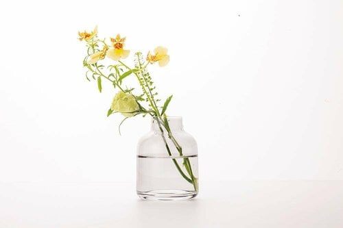 スリーコインズ ガラス フラワーベースC イメージ2