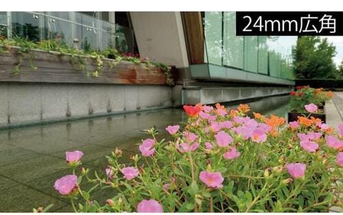 広角も望遠も写真はかなり自然で高画質 イメージ2