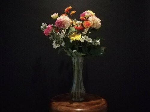 5万円台の高級機とも遜色ないシャッターチャンスの強さ イメージ2