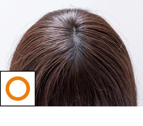 【仕上がり】 増毛パウダーおすすめ イメージ