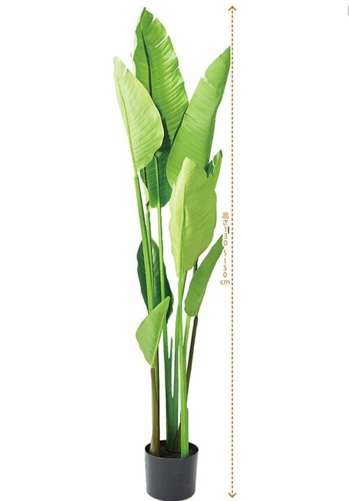 植物の手入れが苦手でも気軽に置ける! おすすめインテリアおすすめ イメージ