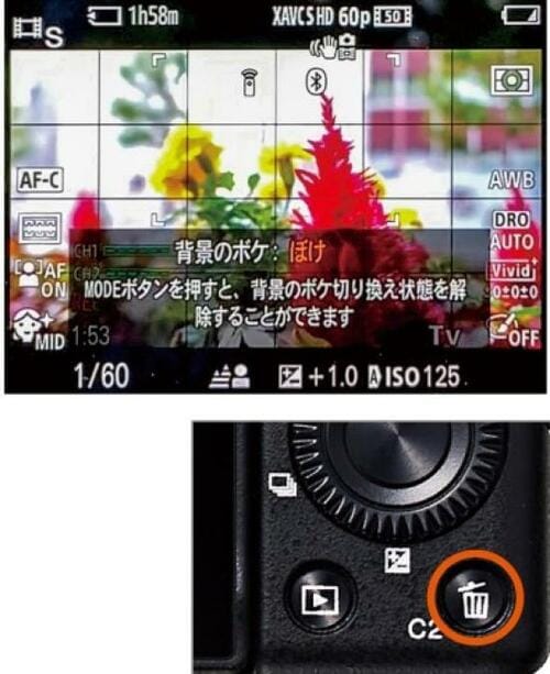 ポイント1：ピントがすぐ合う！ 背景が簡単にボケる！ イメージ2