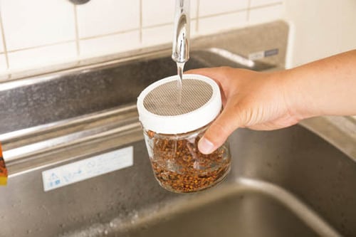 ポイント3：水やりは1日2回放っておいてもぐんぐん育ちます！ イメージ2