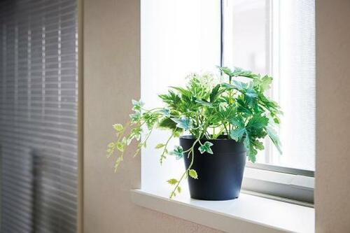 IKEA「フェイカ 人工観葉植物」2