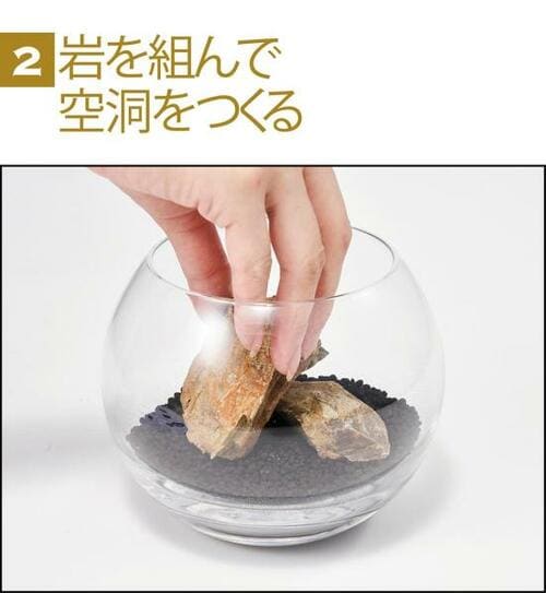 コケリウム初挑戦でも15分でできる！ イメージ2
