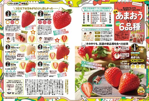 「あまおう」を超える最強のいちごはある? いちごおすすめ イメージ3