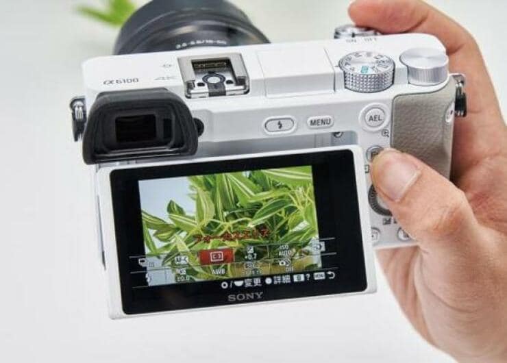 【10万円妄想】ソニーの“最強入門機”を指名買い！ 名品おすすめ4選｜『家電批評』が紹介<br>