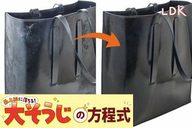 【みすぼらしいよ】革小物の汚れはシートで除去！ 使い捨て掃除アイテムのおすすめは？【LDK大掃除】