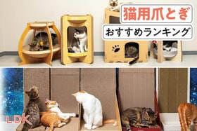 猫用爪とぎのおすすめランキング。ベッド型からかわいいものまで人気商品を比較