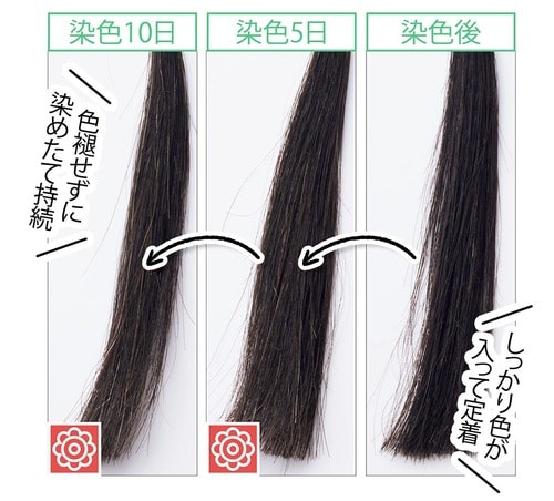 染めたての色が長続きする イメージ2