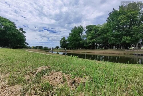 画質 家電ベストバイオブザイヤーおすすめ イメージ