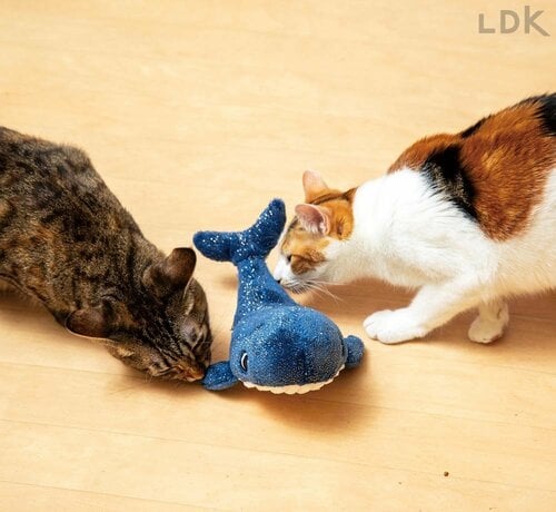 またたびを収納できる 猫用おもちゃおすすめ イメージ