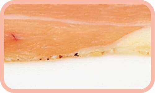 生ハムおすすめ ノルレェイク・インターナショナル プロシュート8ヶ月熟成 イメージ2