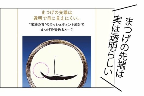透明な部分を染めてまつげを長く見せる イメージ