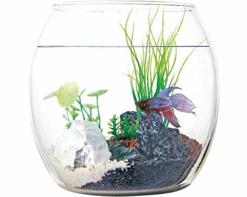 机の上にも置いておける小型がウリのカワイイ水槽 イメージ5