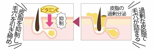 皮脂の過剰な分泌を抑えて毛穴詰まりを予防してくれる イメージ