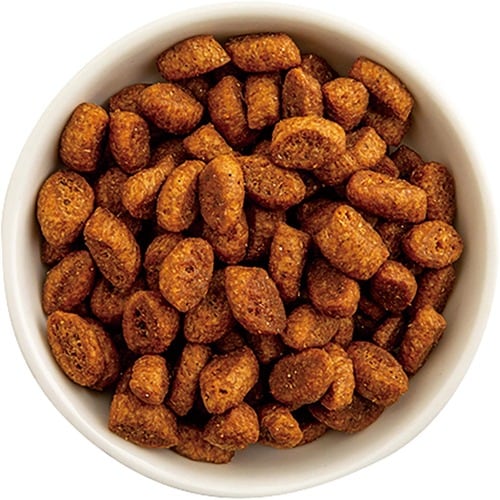 猫用ドライフードおすすめ ユニ・チャーム フィジカ ライフ 室内猫用チキン入り イメージ2