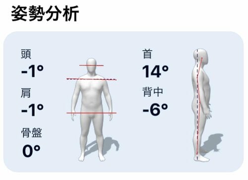 サイズだけでなく姿勢まで分析 イメージ