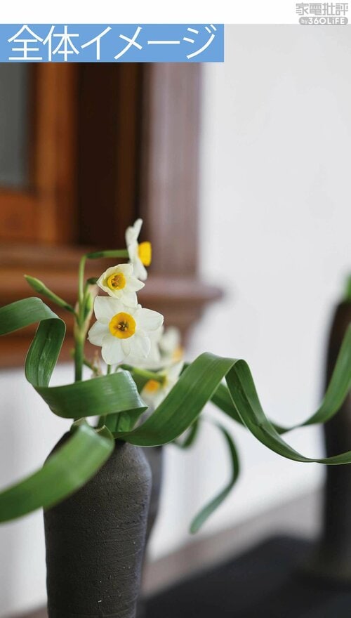 立体感のある生花の場合 フルサイズミラーレスカメラおすすめ イメージ