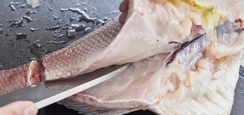 4:腹ビレの上に包丁を入れて背骨まで切る 出刃包丁おすすめ イメージ