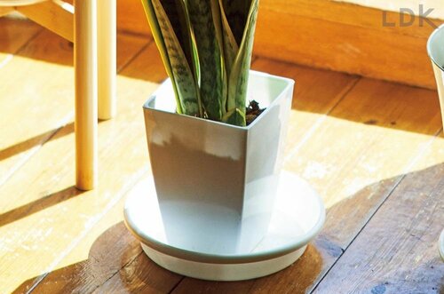 1日最低6時間は光を当てるようにする 観葉植物おすすめ イメージ