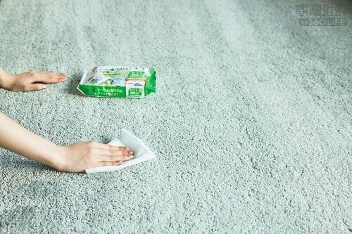 防ぐ術:ベタッと汚れを見つけたらシートで即拭く! リンサークリーナーおすすめ イメージ
