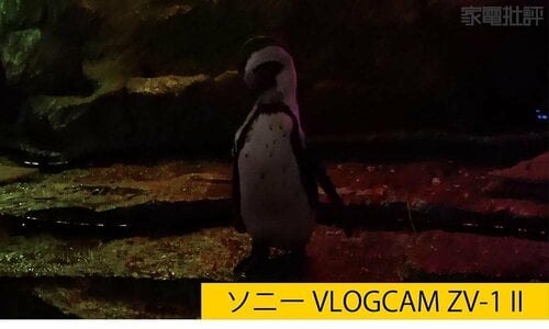 【高感度性能：優秀】薄暗いシーンでもキレイに撮れる コンデジカメラの実機検証（hands-on review）おすすめ イメージ3