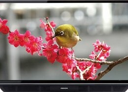 音質に全振りした、技ありテレビがコチラです