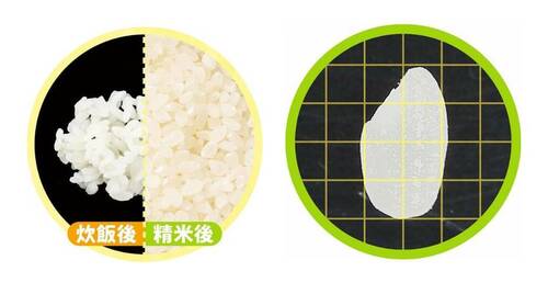 再精米：△ 精米器おすすめ イメージ